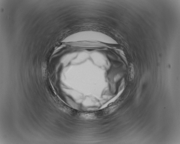 X0000081610283200702121622