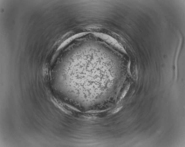 X0000081610284200702121622