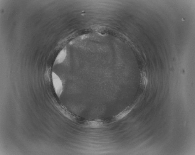 X0000081610286200702121622