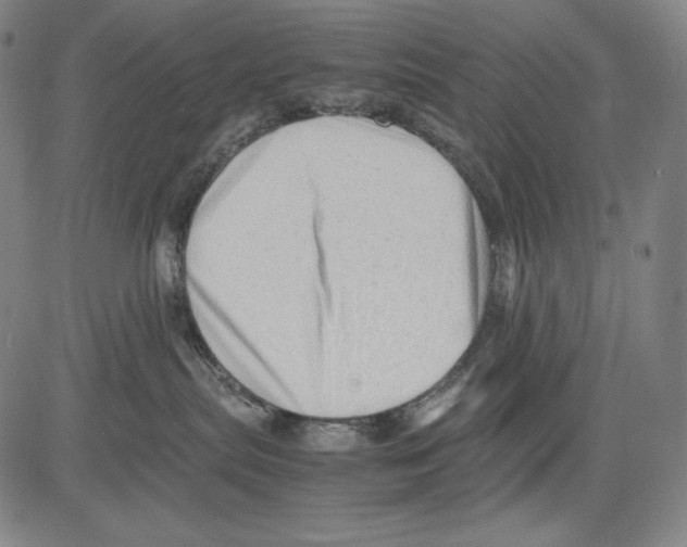 X0000081610287200702121622