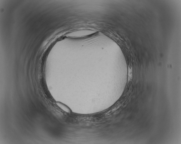 X0000081610291200702121621