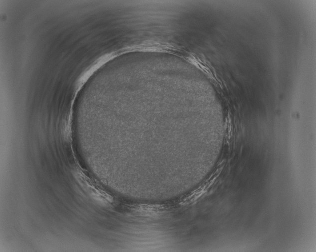 X0000081610292200702121621