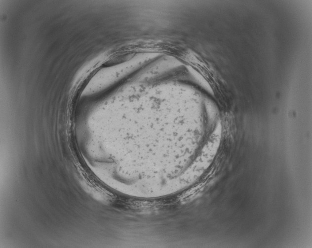 X0000081610293200702121621