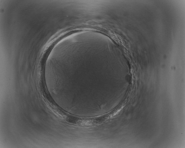 X0000081610295200702121621