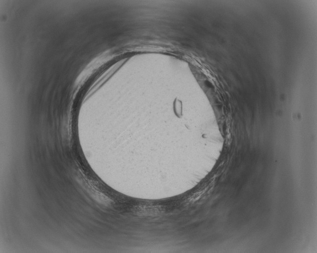 X0000081610296200702121621