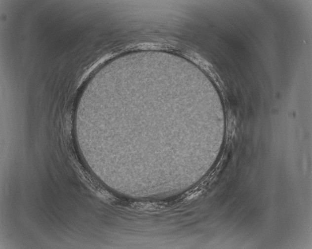 X0000081610297200702121621