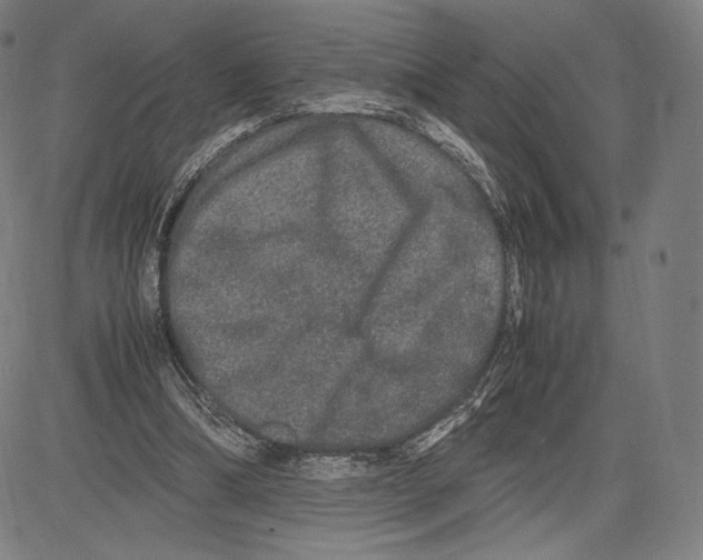 X0000081610298200702121621