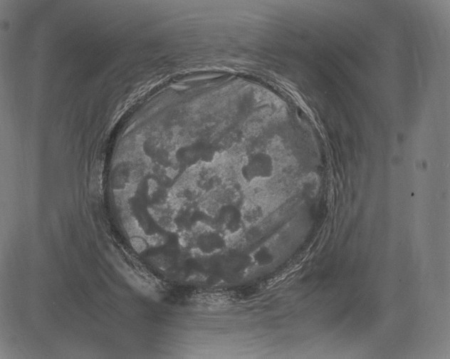 X0000081610299200702121621