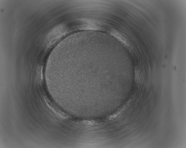 X0000081610302200702121621