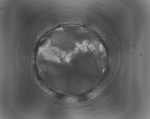 X0000081610303200702121621