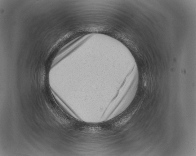 X0000081610304200702121621