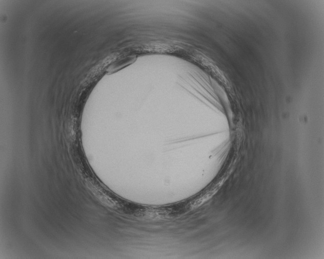 X0000081610305200702121621