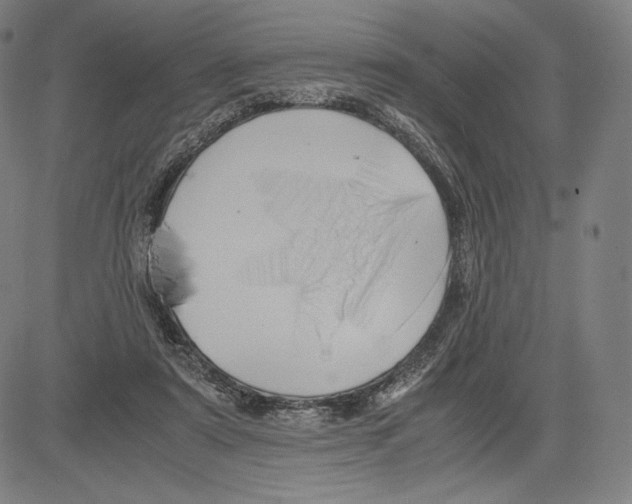 X0000081610307200702121621