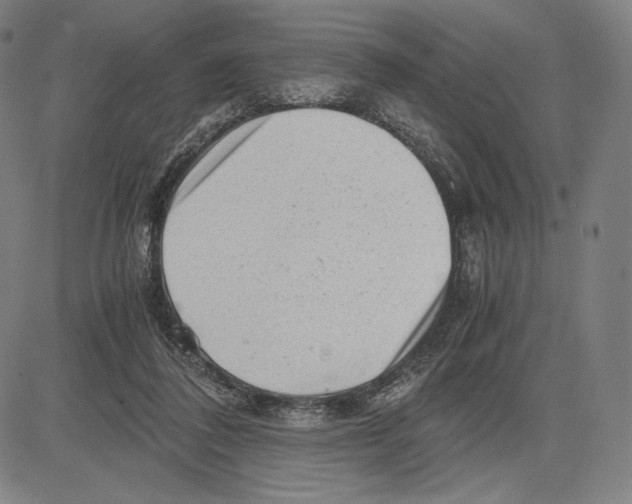 X0000081610308200702121621