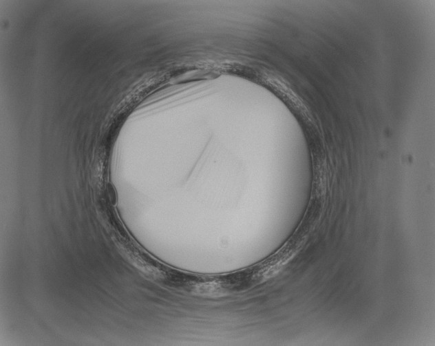 X0000081610309200702121621