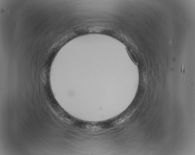 X0000081610311200702121621