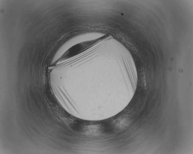 X0000081610312200702121621