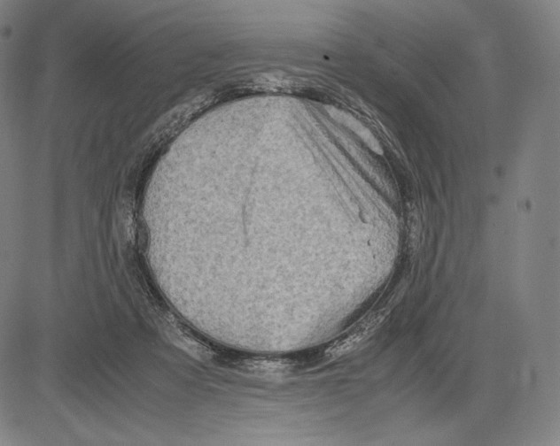 X0000081610313200702121621