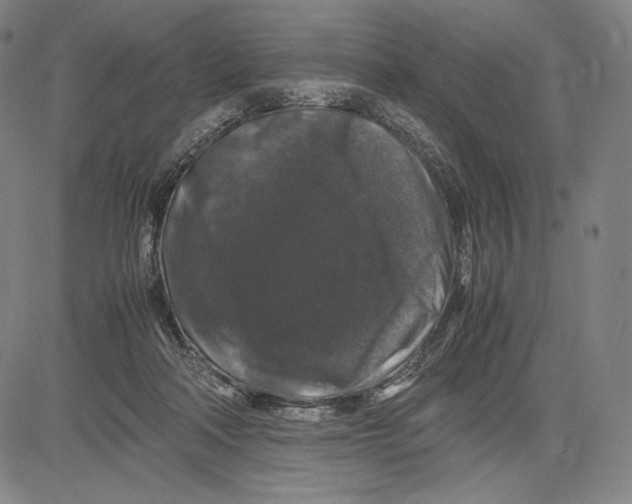 X0000081610314200702121621