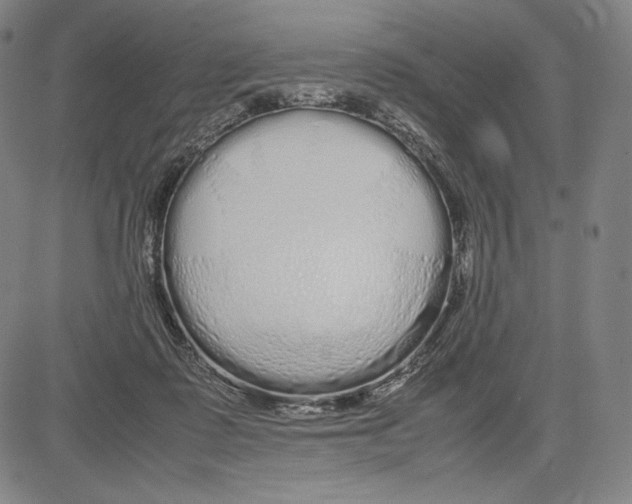 X0000081610315200702121621