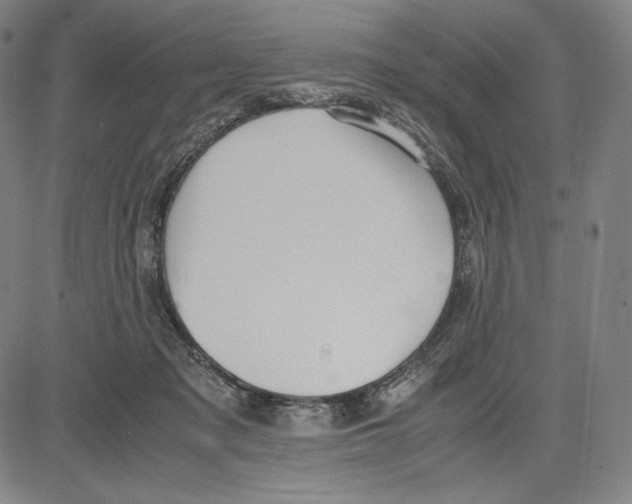 X0000081610317200702121621