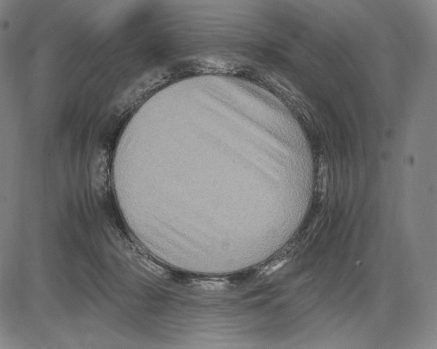 X0000081610318200702121621