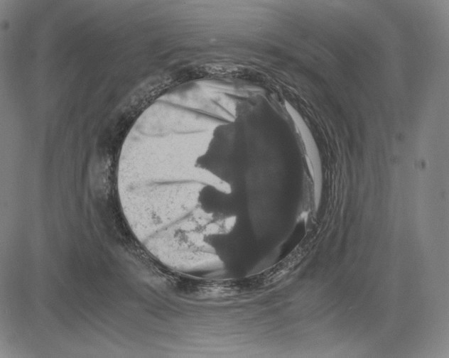 X0000081610319200702121621