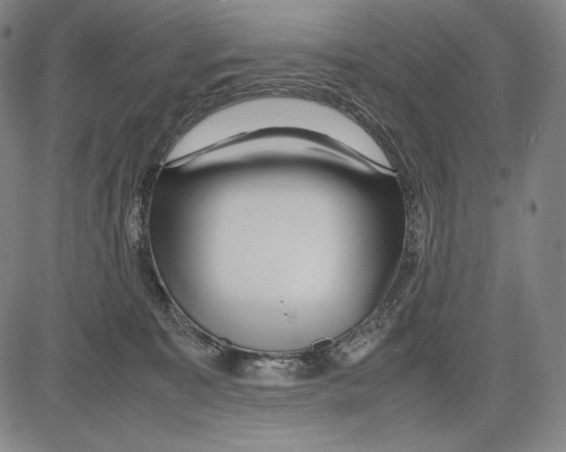 X0000081610323200702121621