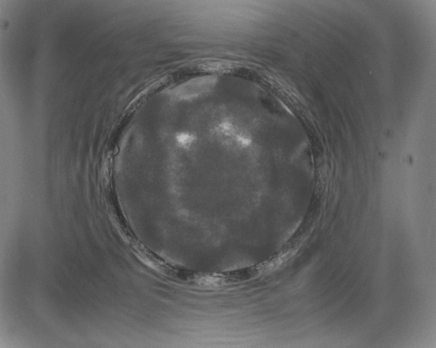 X0000081610325200702121621