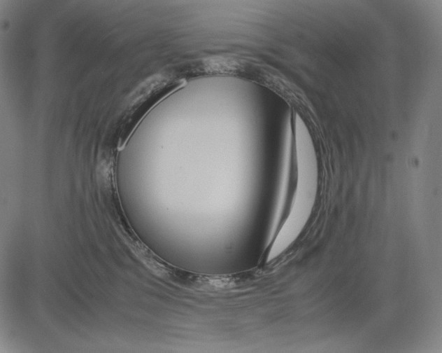 X0000081610329200702121621