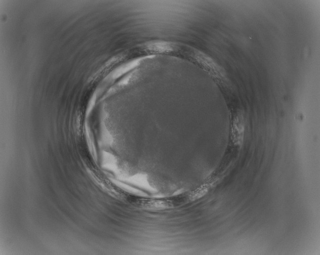 X0000081610330200702121621