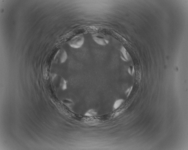 X0000081610331200702121621