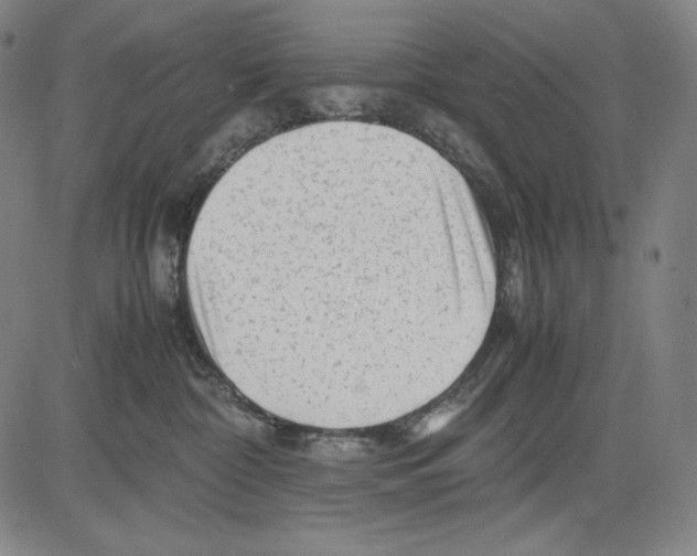 X0000081610332200702121621