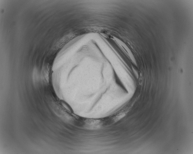 X0000081610334200702121621