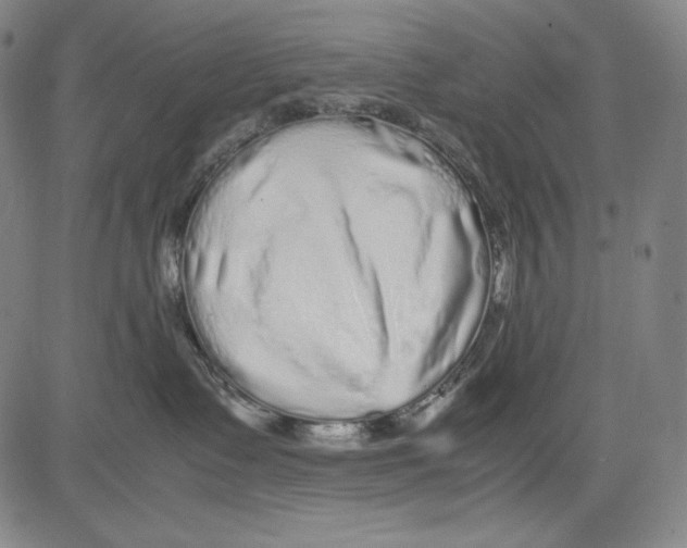 X0000081610335200702121621