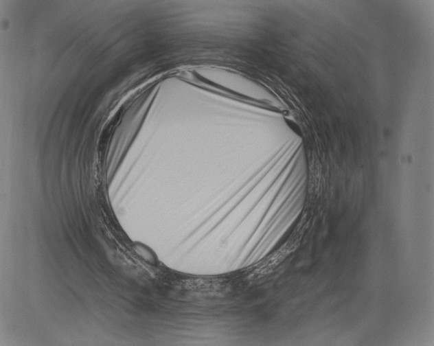 X0000081610338200702121620