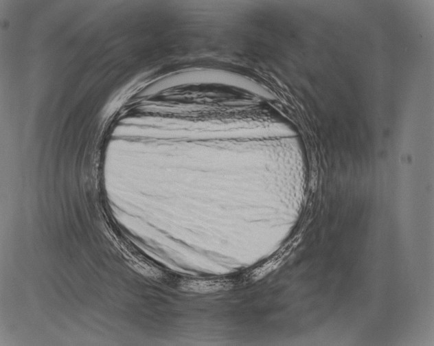 X0000081610341200702121620