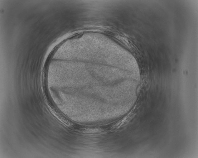 X0000081610342200702121620