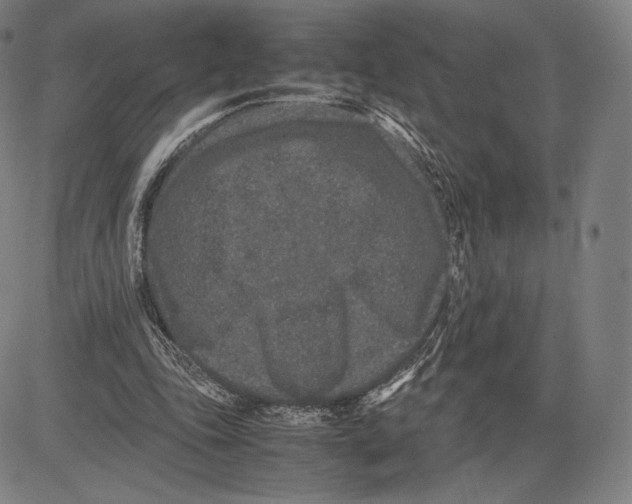 X0000081610343200702121620