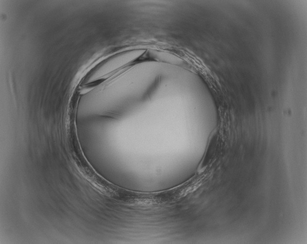 X0000081610344200702121620