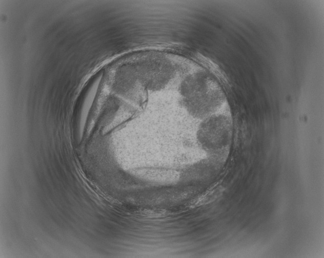 X0000081610346200702121620