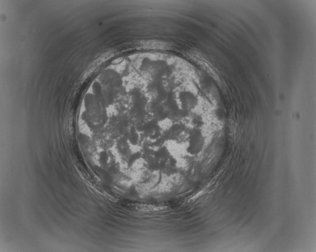 X0000081610347200702121620