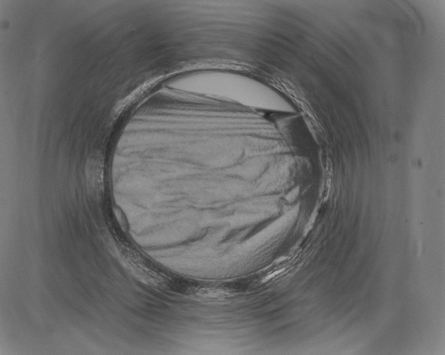 X0000081610348200702121620