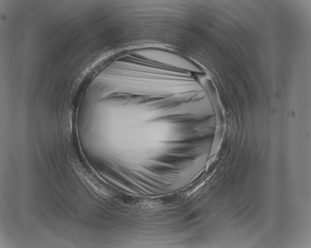 X0000081610350200702121620