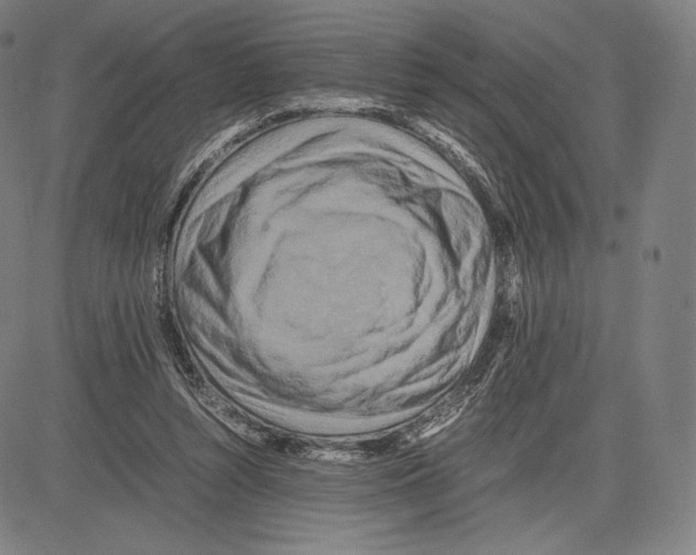 X0000081610352200702121620