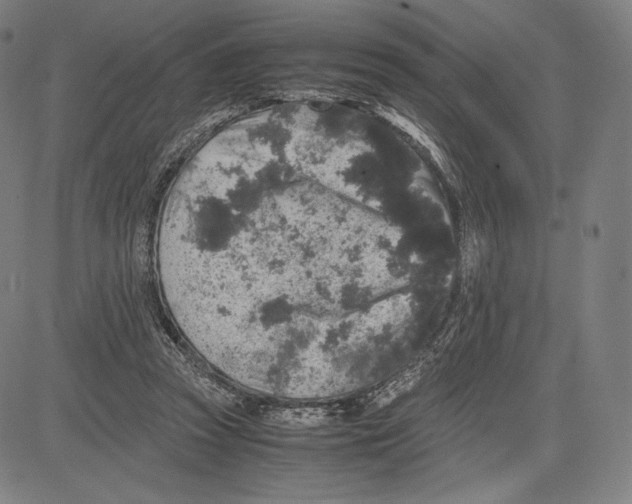 X0000081610353200702121620