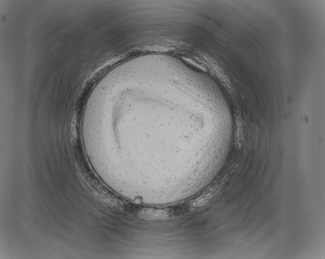 X0000081610354200702121620