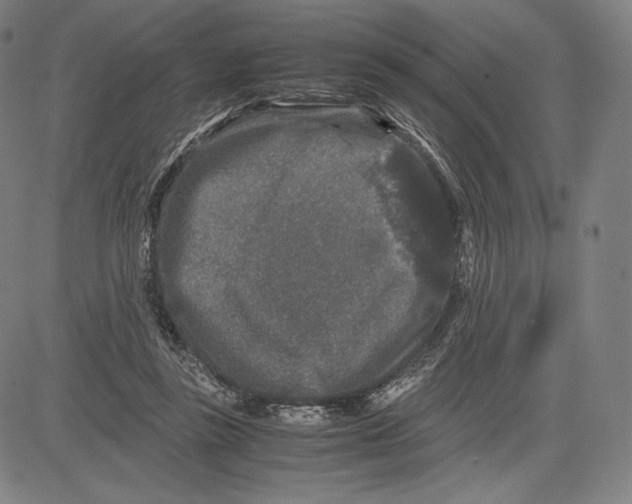 X0000081610355200702121620