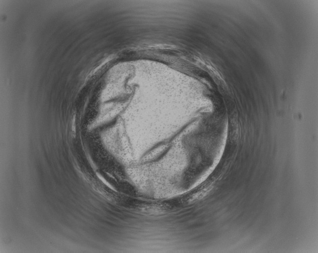 X0000081610358200702121620