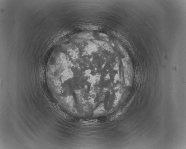 X0000081610359200702121620